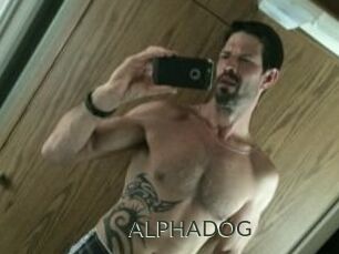 ALPHADOG