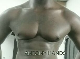 ANTONY_HANDS
