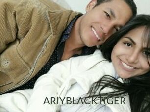 ARIYBLACKTIGER
