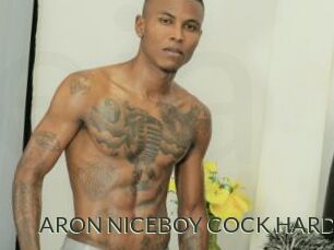 ARON_NICEBOY_COCK_HARD