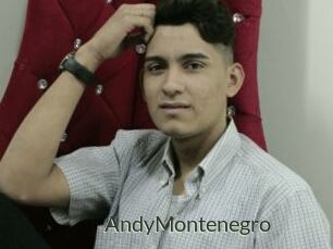 AndyMontenegro