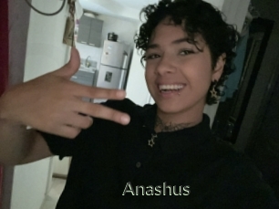 Anashus