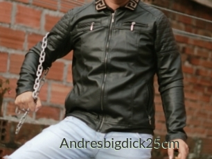 Andresbigdick25cm