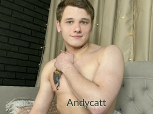 Andycatt