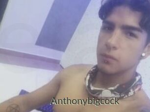 Anthonybigcock