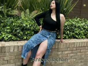 Antonellachan