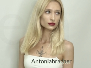 Antoniabracher