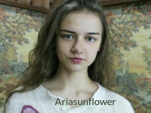 Ariasunflower