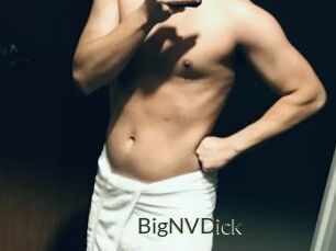 BigNVDick