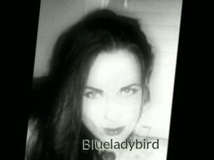 Blueladybird