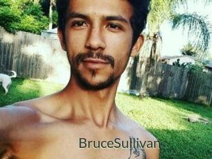 Bruce_Sullivan