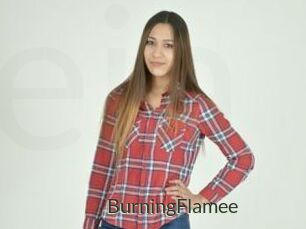 BurningFlamee
