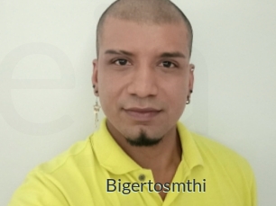 Bigertosmthi