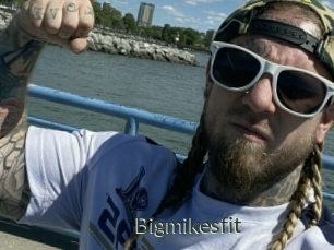 Bigmikesfit