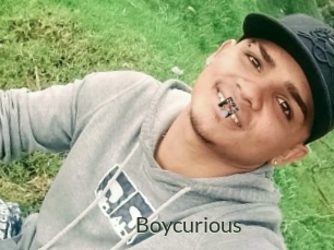 Boycurious