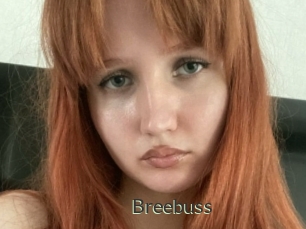 Breebuss