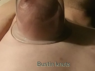 Bustin_knuts