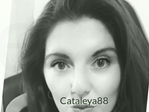 Cataleya88