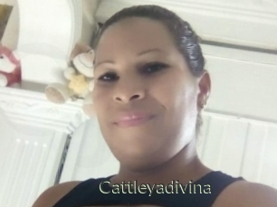 Cattleyadivina