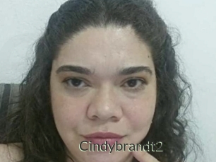 Cindybrandt2