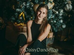 DaisyDandelion