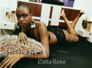 Dalia_Rose