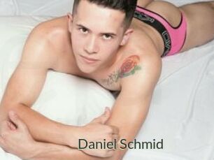 Daniel_Schmid