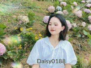 Daisy0188