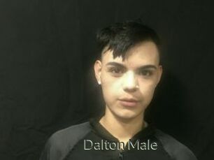 Dalton_Male