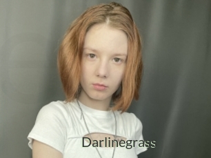 Darlinegrass