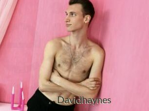 Davidhaynes