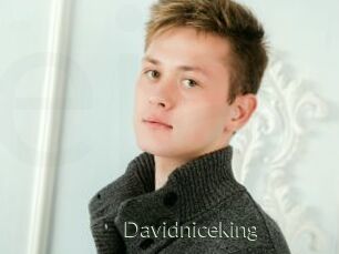 Davidniceking