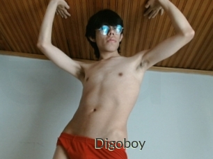 Digoboy