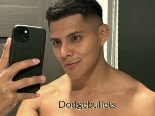 Dodgebullets