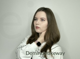 Dominoblakeway