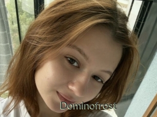 Dominofrost