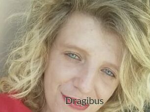 Dragibus