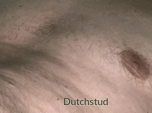 Dutchstud