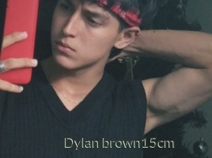 Dylan_brown15cm