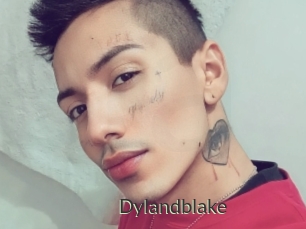 Dylandblake