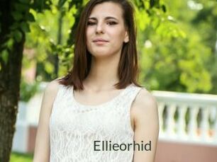 Ellieorhid