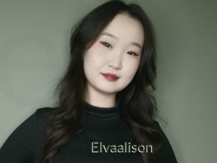 Elvaalison