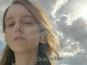 Elvabucher