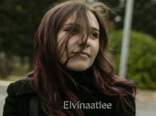 Elvinaatlee