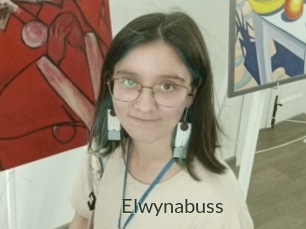 Elwynabuss