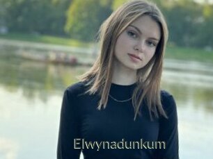 Elwynadunkum