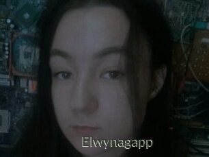 Elwynagapp