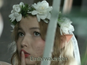 Emilywaldstein