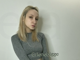 Erlenebigge