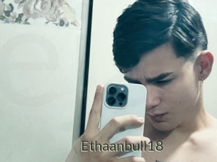 Ethaanbull18